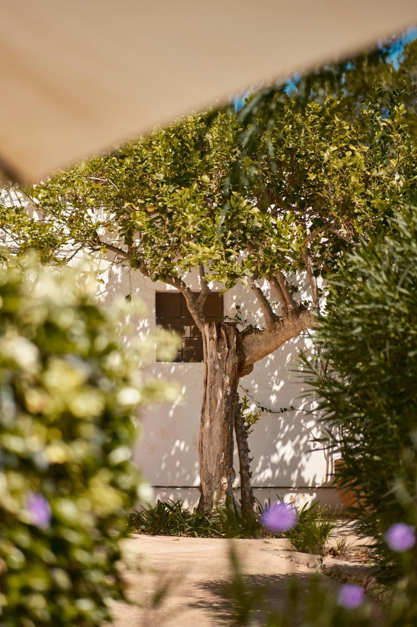Hotel The Guardian House Santa Gertrudis  Exteriér fotografie