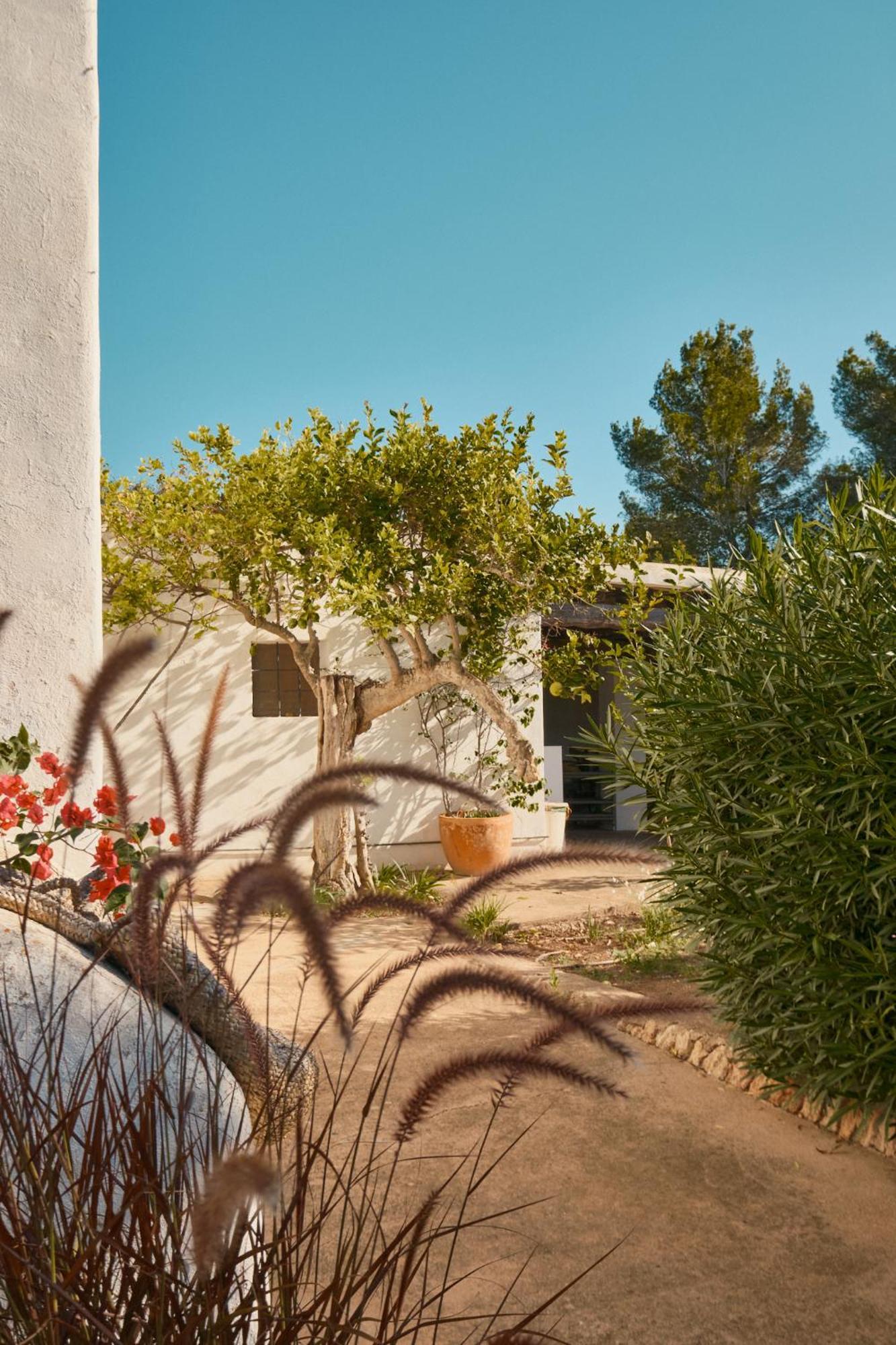 Hotel The Guardian House Santa Gertrudis  Exteriér fotografie